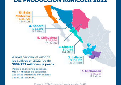 Ocupa BC 3er lugar nacional en producción agrícola